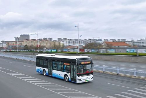 现代化海滨城市,学党史办实事开新局紧密结合起来,积极优化新能源公交