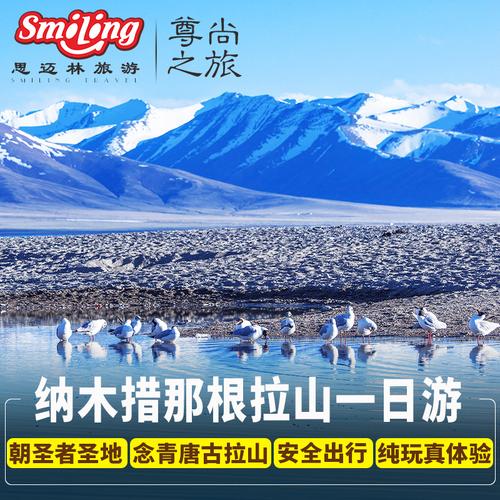 冬游西藏门票免费天湖纳木错那根拉山念青唐古拉山品质纯玩一日游_7折