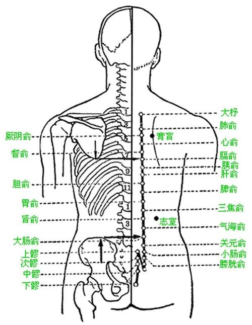 夹脊一通,百病不生,"夹脊关"在道家修炼中的作用!