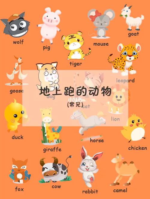 单词闪卡学习:地上跑的动物_英语启蒙_臻园自由行热门