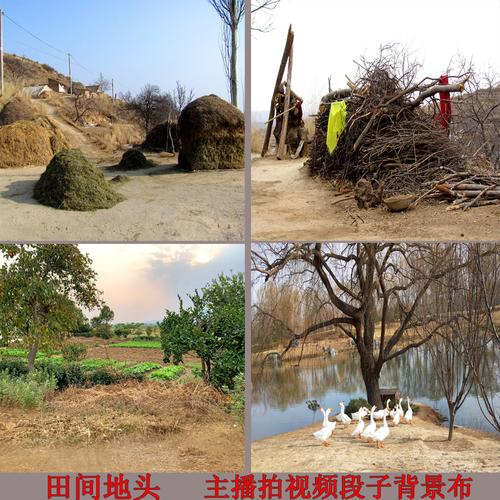 主播背景布 快手_抖音快手网红主播直播拍摄视频段子背景布农村风景