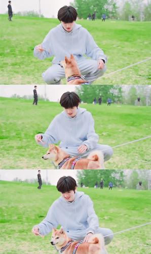 宋亚轩和狗狗 美图