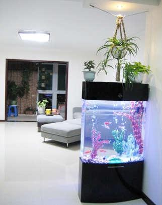 谁有带鱼缸玄关效果图?发一份给我.谢谢!