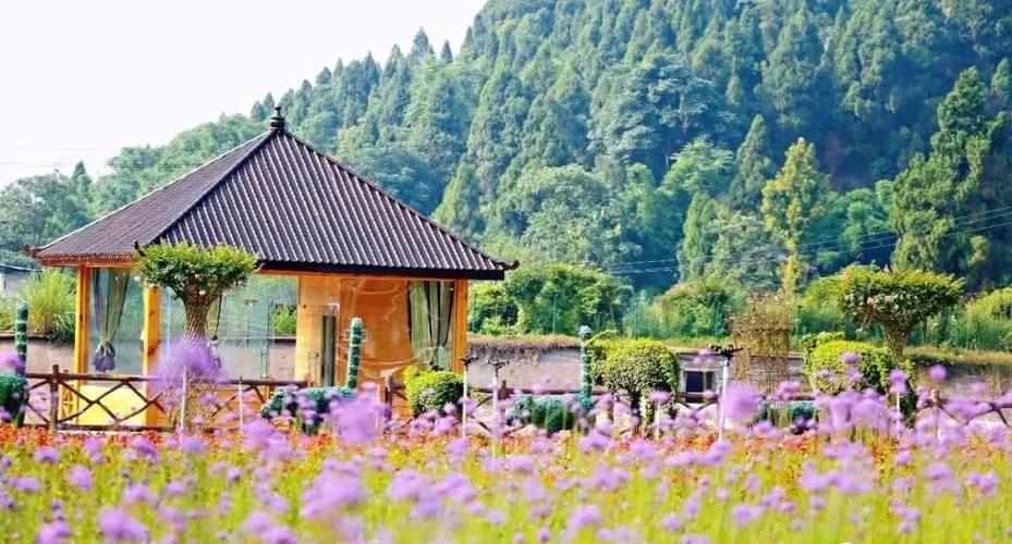 安居七彩明珠是国家aaaa级旅游景区,位于318国道安居区玉丰镇,川中