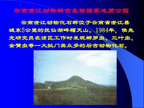 地球历史上寒武纪的生命大爆发 云南澄江动物群古生物国家地质公园