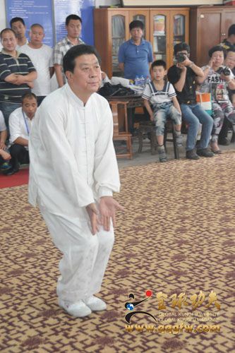 李秀宁演练戴氏心意拳