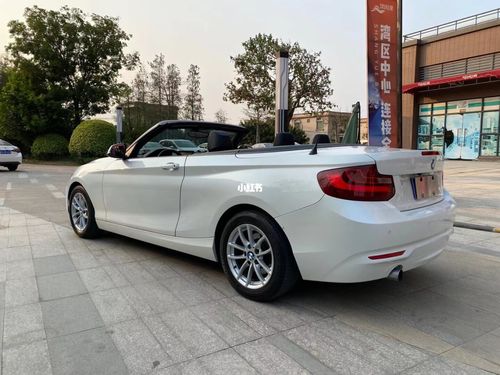 宝马2系(进口)218i敞篷版  2门四座 2016年_宝马怎么样_vlog_我的日常