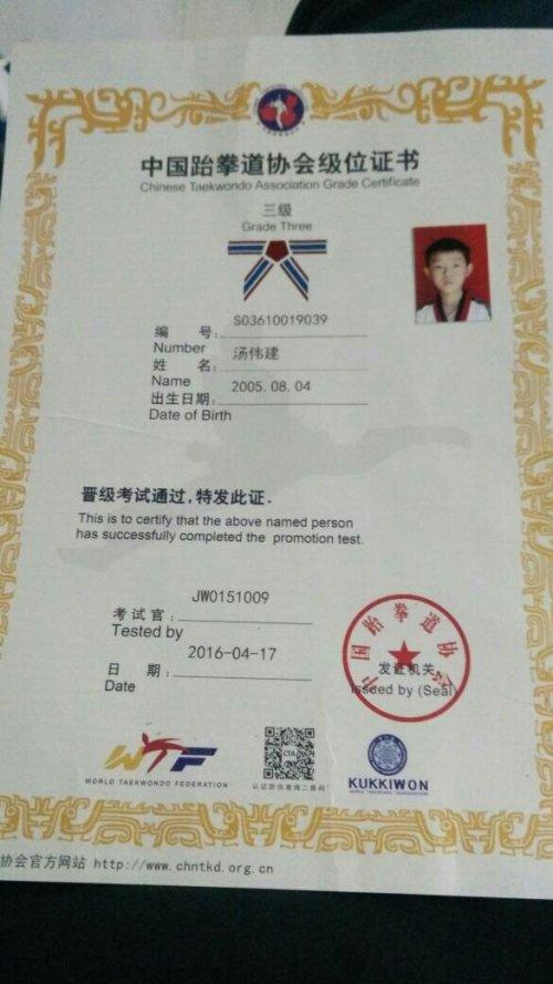 中国跆拳道协会级位证书查询这