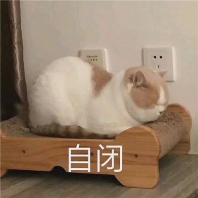 自闭了常用可爱又很搞笑的聊天表情2021最新我自闭了搞笑表情合集