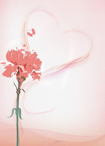 粉色浪漫爱心康乃馨花朵背景