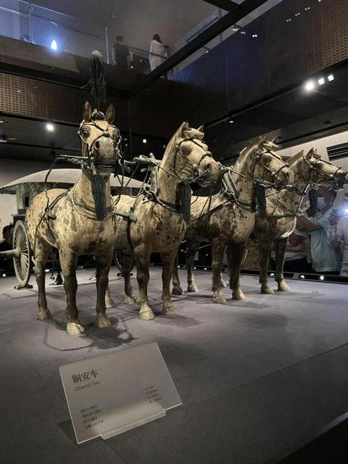 "内对外展出,展厅以铜车马的展示为主,辅秦始皇陵铜车马发掘现场照片