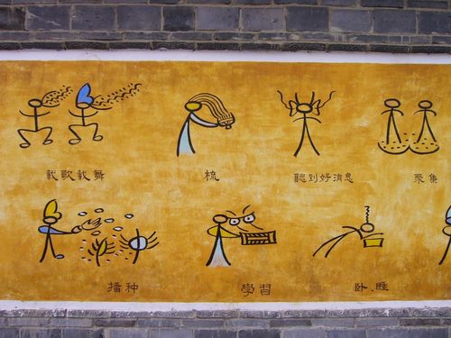 少数民族用的类似象形字却又不是象行字的字叫什么