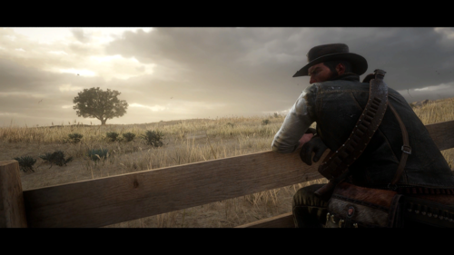 荒野大镖客2中的风景 其三