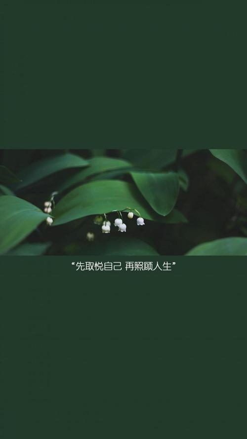 励志带字唯美配图,锁屏图片,高清手机壁纸,非主流