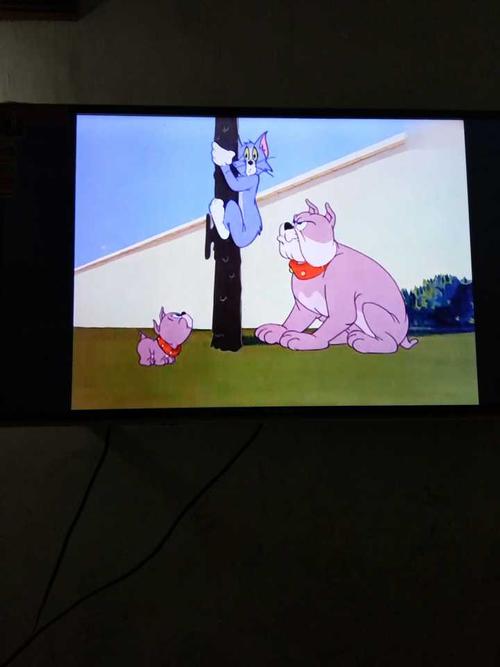 猫和老鼠有什么细思恐极的细节