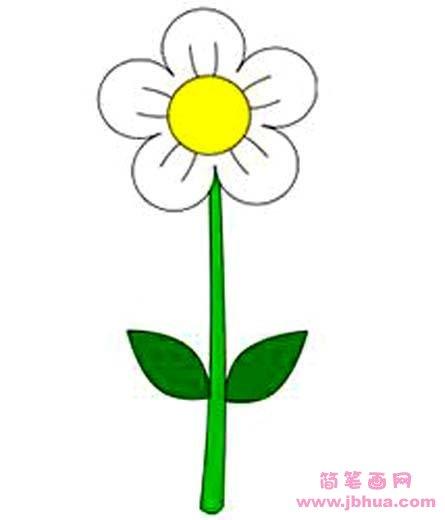 彩色的花朵简笔画