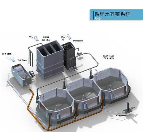 年产20吨罗非鱼养殖系统 高密度工厂化水产养殖 循环水系统