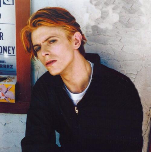 davidbowie大卫鲍伊
