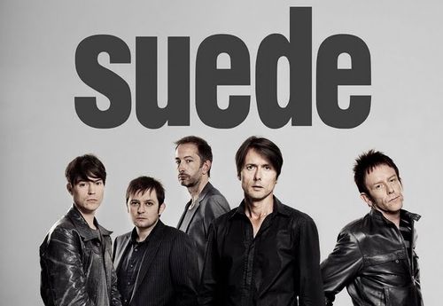 suede(山羊皮)乐队海报
