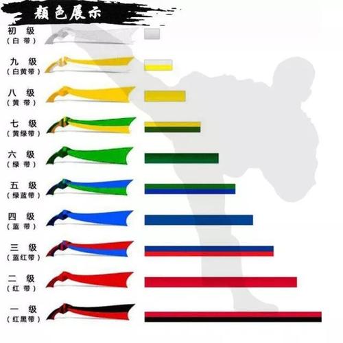 柔道运动vs跆拳道运动 区别