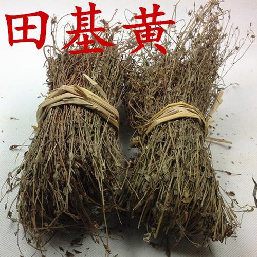 龙葵功效与作用龙葵功效与作用的功效与作用