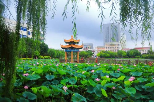 【我的津城 看变化·随手拍】(十二)宁河"一河两岸"城区新貌