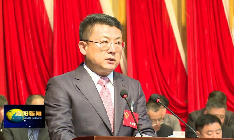 海阳市委副书记,市长王彦博作报告