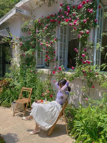 夏日午后的法式小花园 太适合油画滤镜了