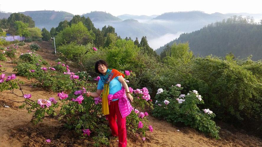 万花山