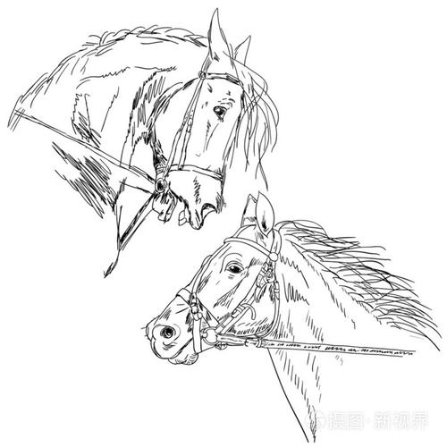 黑骏马