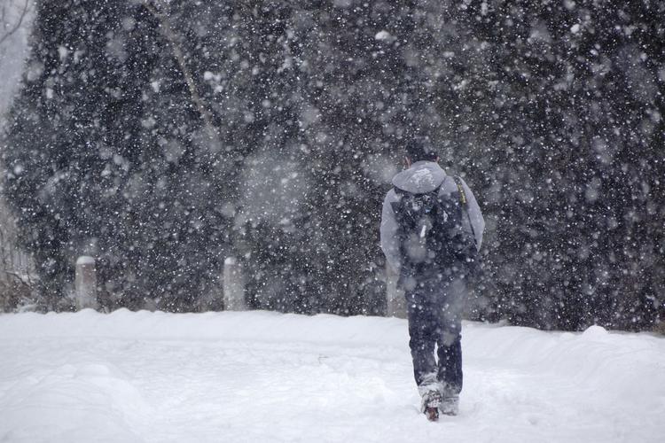 走在雪中的背影图片