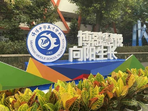 绵阳中学英才学校2020年班级设置