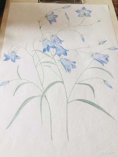 一年一个人的画技可以有多大的提升