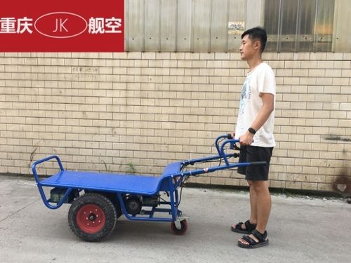 预售电动农用手推车运输动力双轮三轮公车工地农用