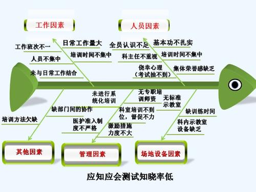 鱼骨图模板(精品精美经典)课件