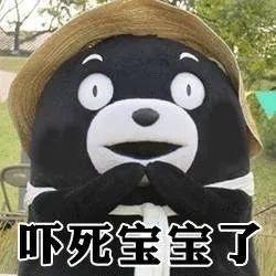 熊本熊表情包请问可以看下你的胖次吗
