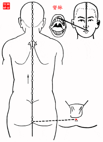(下图任督二脉,还有冲脉等都是上下纵向而行)人体其他的经脉都是上下