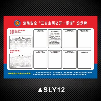 消防安全三自主两公开一承诺公示栏牌消防检查安检展板消防安全责任人