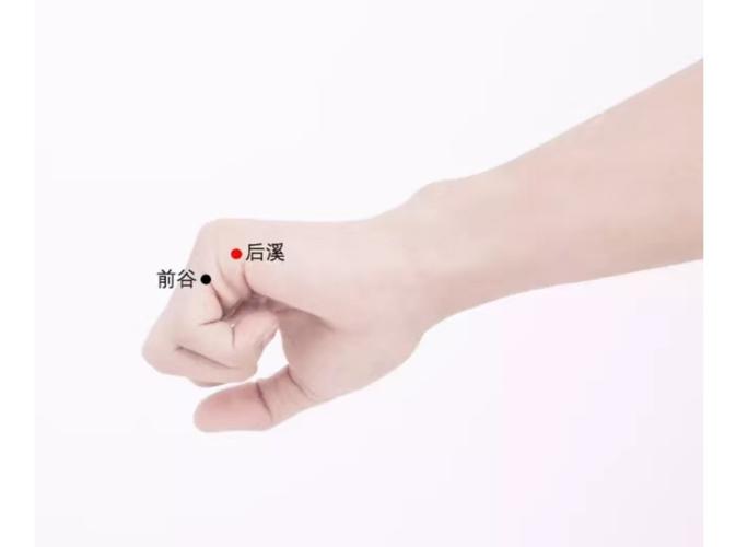 在手掌尺侧,微握掌,当小指本节(第5指掌关节)后的远侧掌横纹头