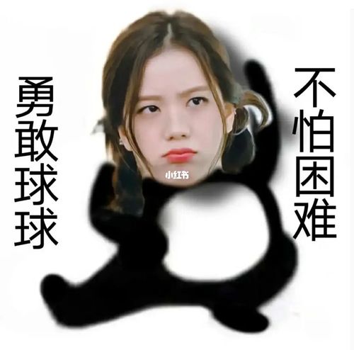 jisoo表情包909090_表情包_jisoo_素材_表情包