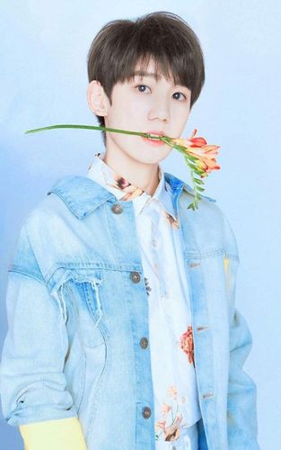 79_明 星-花瓣网|陪你做生活的设计师 | 气