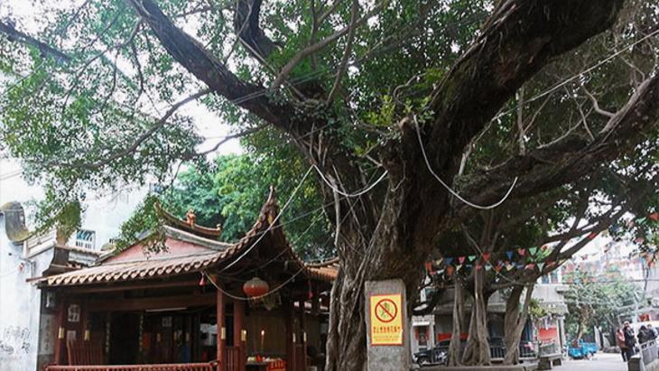 城门镇大家印象:城门镇,位于福州市仓山区南台岛东段,城门镇历史悠久