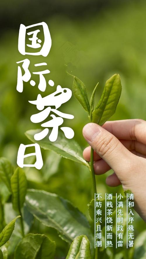 521国际茶日蒲江邀您赏茶韵