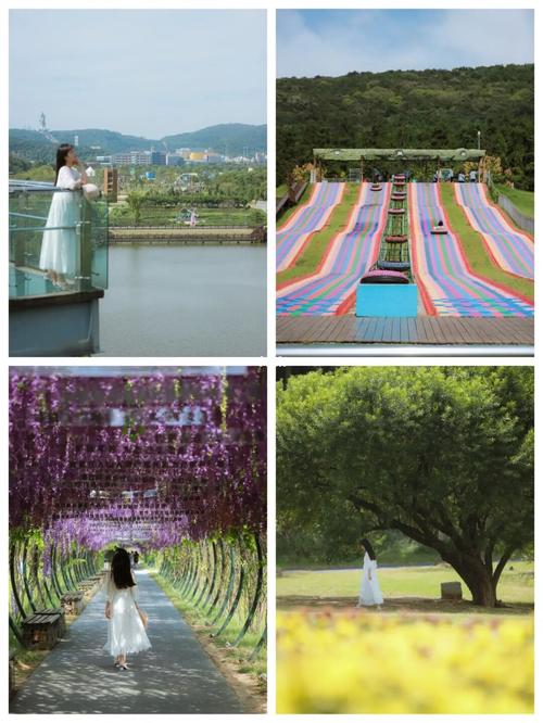 江浙沪国庆周边游|常州小众露营地太湖湾_露营_帐篷_太湖_菊花_周边游