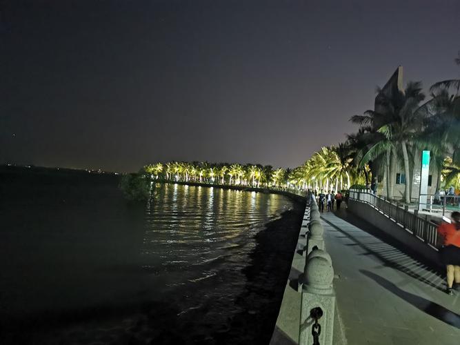 (观海长廊,渔港公园) 夜景美不胜收