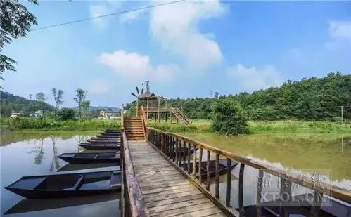 昭山示范区:昭山镇七星村经开区:和平街道将军渡社区高新区:板塘街道