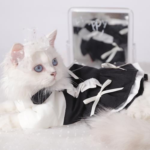 猫咪衣服幼猫秋冬装宠物女仆装布偶猫猫冬季可爱公主裙女小猫裙子