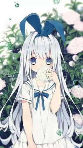 二次元美少女
