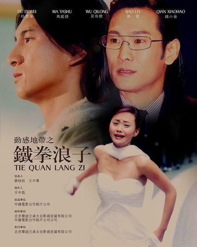 影视库 电视剧 > 铁拳浪子