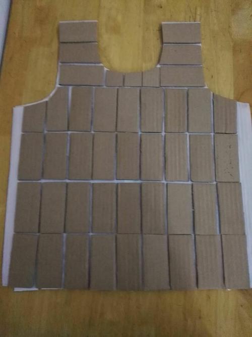 废弃的纸箱做的盔甲.